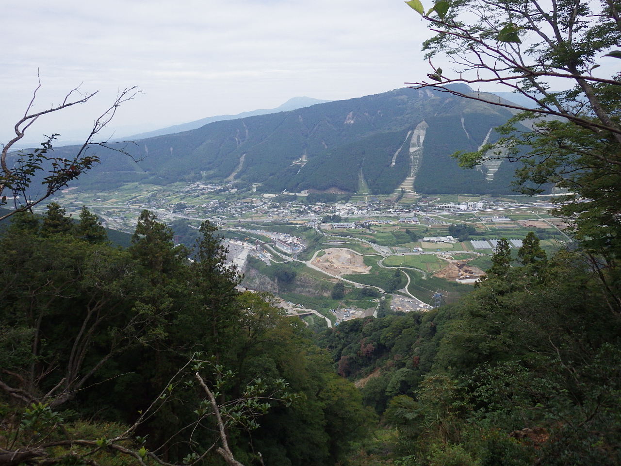 被災地域基本三角点伐採